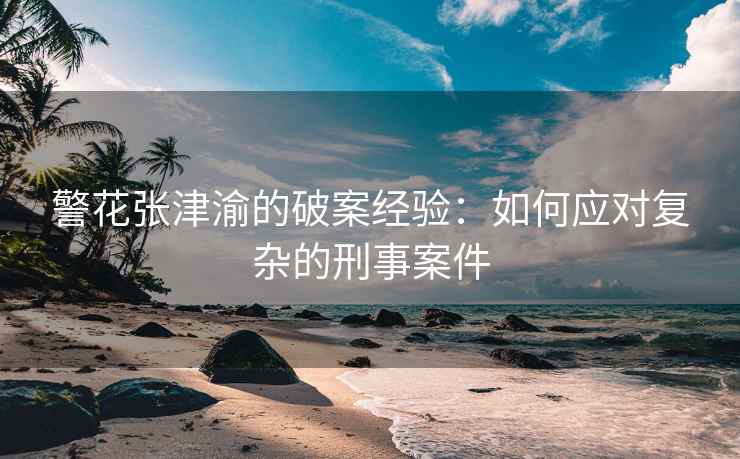 警花张津渝的破案经验：如何应对复杂的刑事案件
